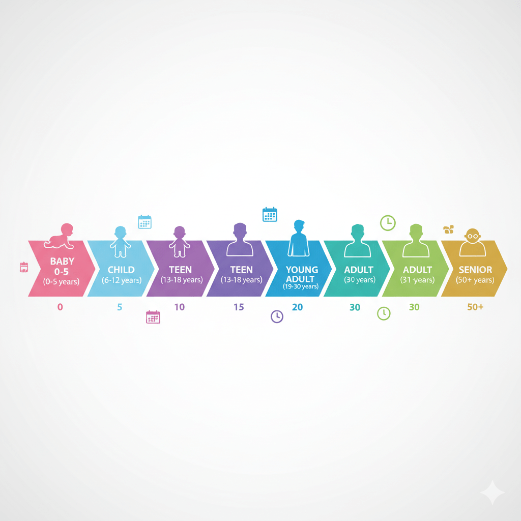 age timeline illustration showing life stages calculate age from DOB milestone tracking